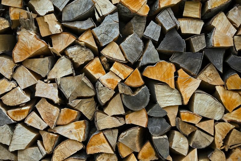 resources of FIRE WOOD exporters