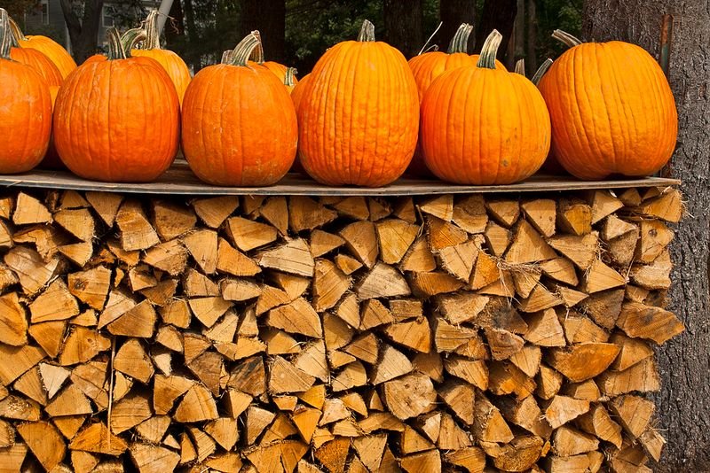 resources of Pumpkin exporters
