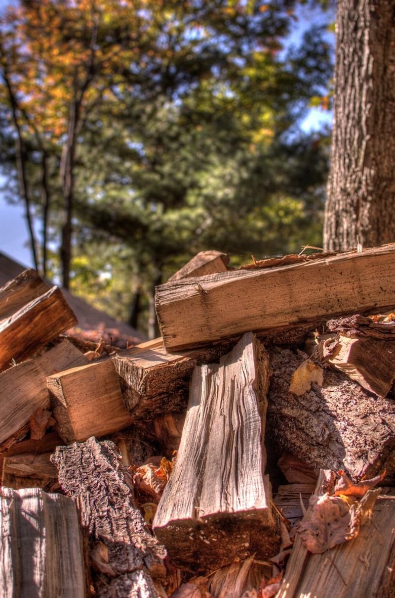 resources of Birch Firewood exporters