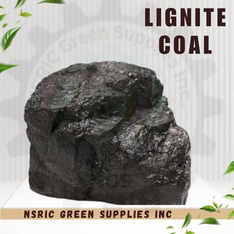resources of Lignite GAR 3400/3600kcal/kg exporters