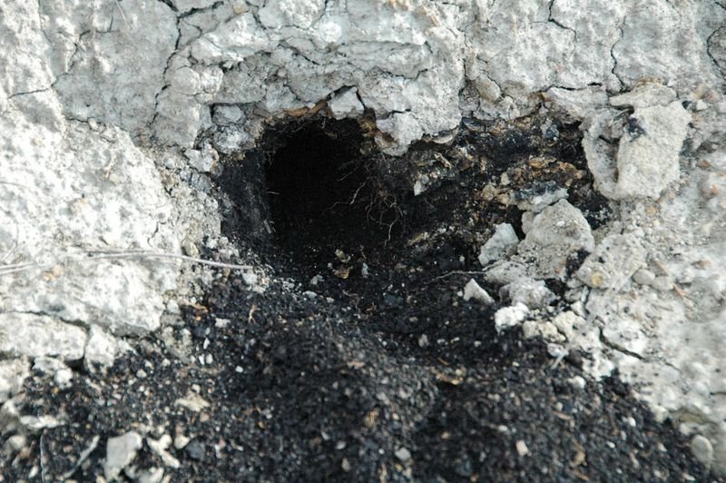 resources of Lignite Coal exporters