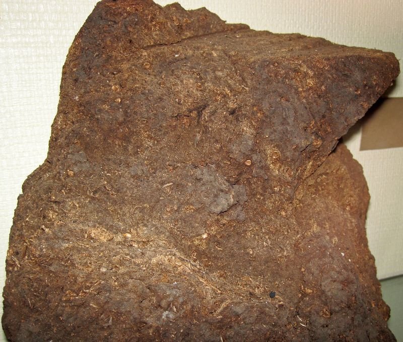 resources of Goat crust. exporters