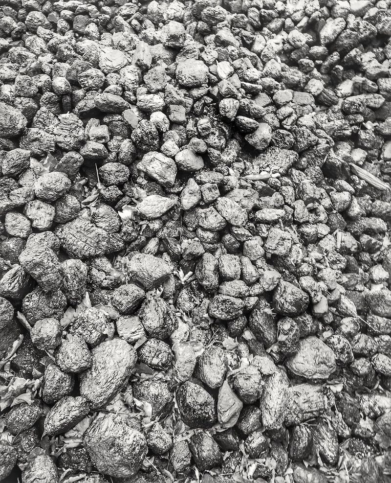 resources of Steam coal gar 4800-4600 exporters