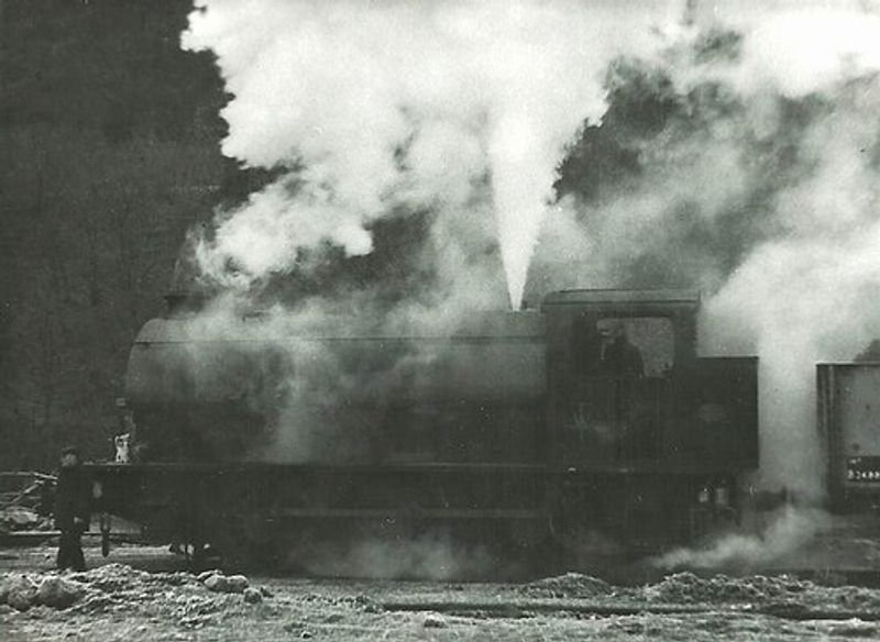 resources of Indonesian Steam Coal exporters