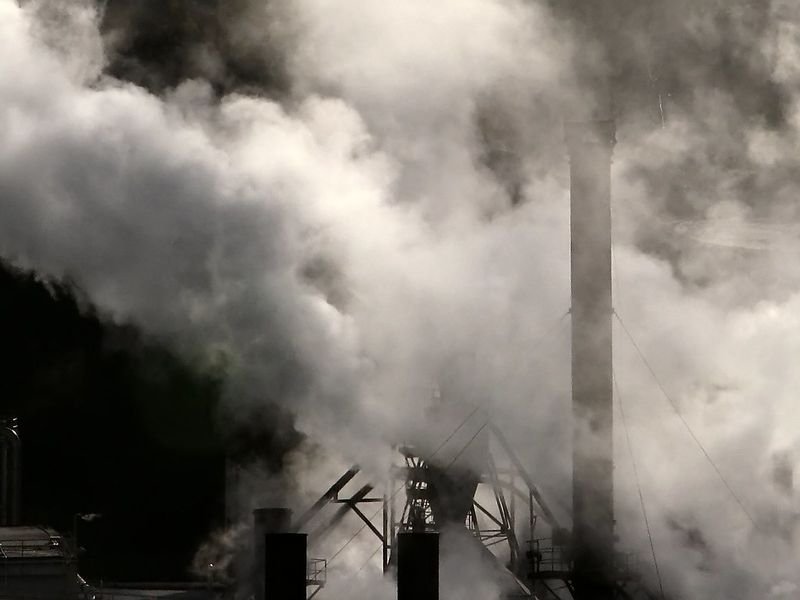 resources of Steam coal gar 5500 - 5300 exporters