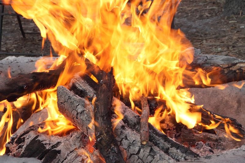 resources of 2025 BBQ Hard Wood Charcoal FACTORY exporters