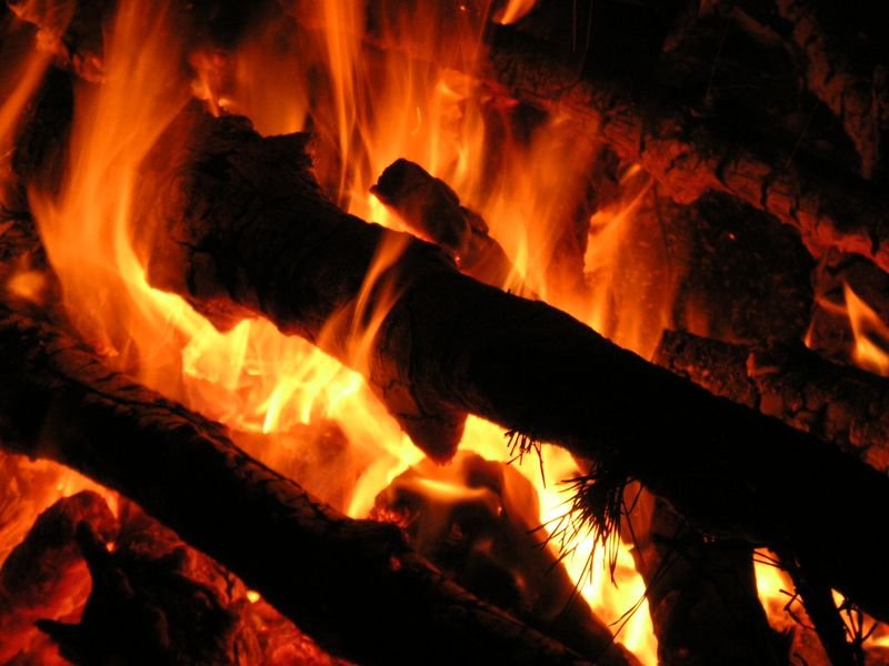 resources of Wood charcoal exporters