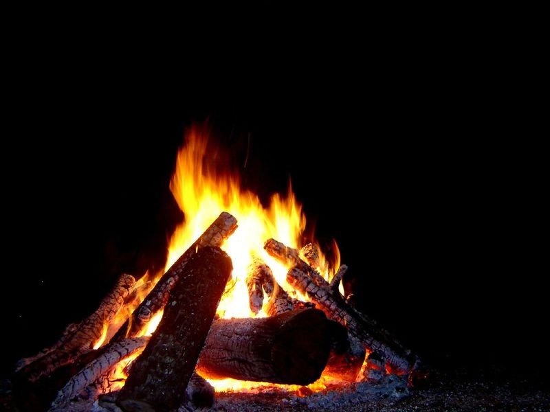 resources of Wood Charcoal - Mangrove - Halaban - Tamarind exporters