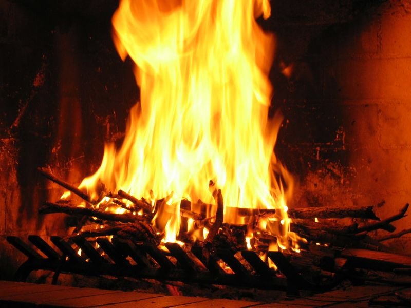resources of Wood charcoal exporters