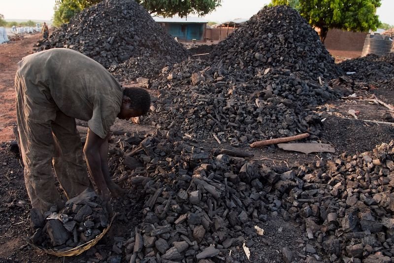 resources of Wood charcoal exporters