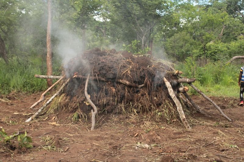 resources of Processed wood charcoal exporters