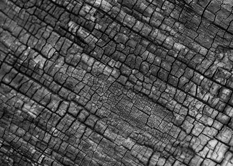 resources of 2025 Indonesia Cheap Pure Halaban Wood Charcoal exporters