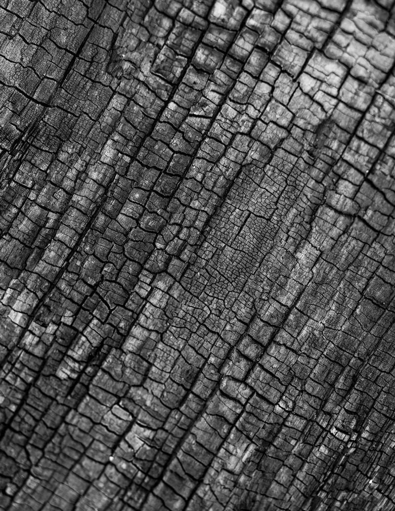 resources of Wood charcoal exporters