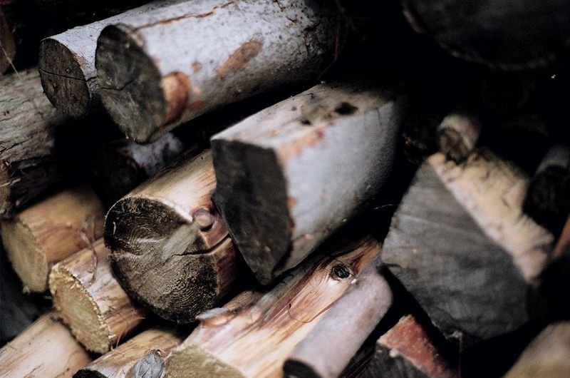 resources of Wood Charcoal exporters resources of Wood Charcoal exporters