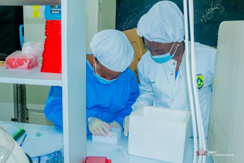 resources of Syphilis TP Antibody Cassette exporters