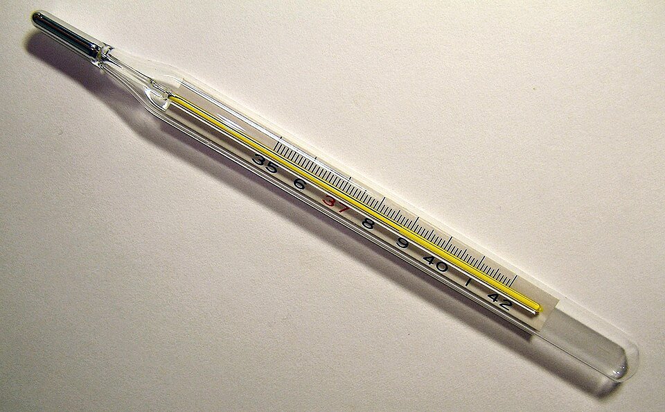 Clinical Thermometers Exporters, Wholesaler & Manufacturer | Globaltradeplaza.com