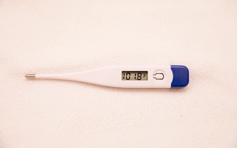 resources of Digital clinical thermometer exporters