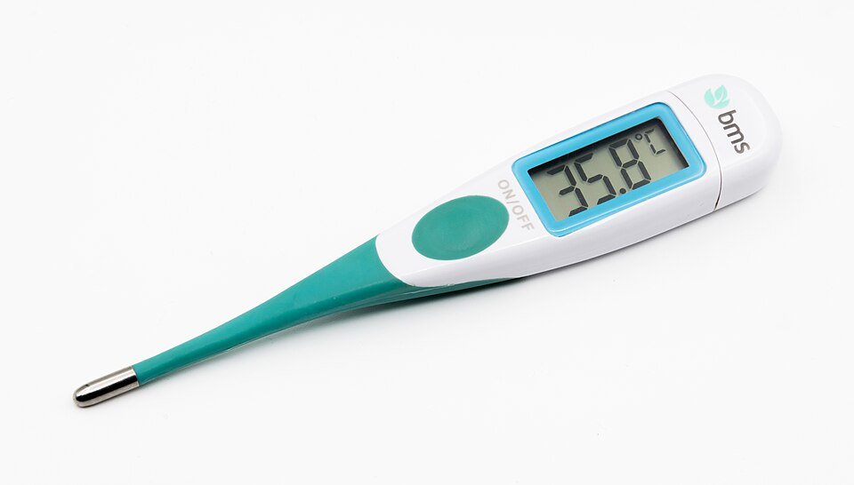 Digital Thermometers Exporters, Wholesaler & Manufacturer | Globaltradeplaza.com