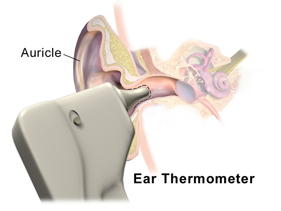 Ear Thermometers Exporters, Wholesaler & Manufacturer | Globaltradeplaza.com