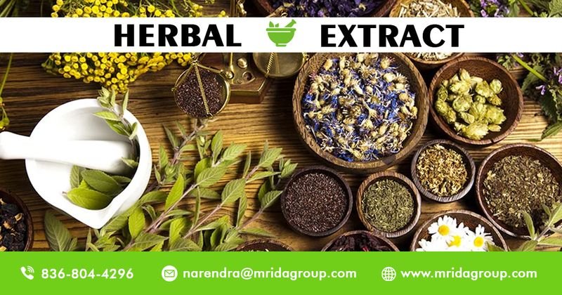 resources of Tea Seed Extract exporters
