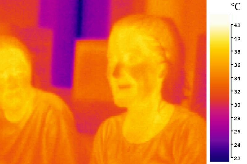 resources of GER DETECT FLIR Breach PTQ136 320 x 256 exporters