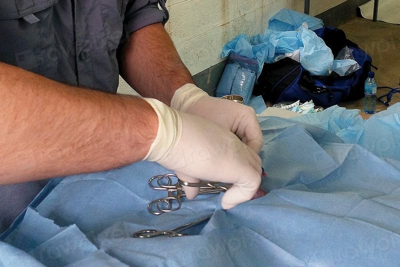 resources of Nitrile Gloves exporters