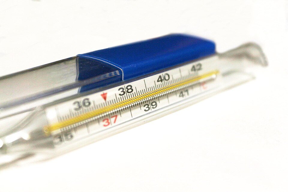 Medical Thermometers Exporters, Wholesaler & Manufacturer | Globaltradeplaza.com