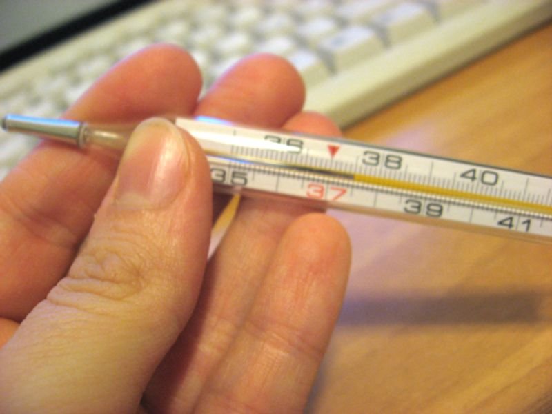 resources of Multi-function Pvc Plastic Ruler exporters