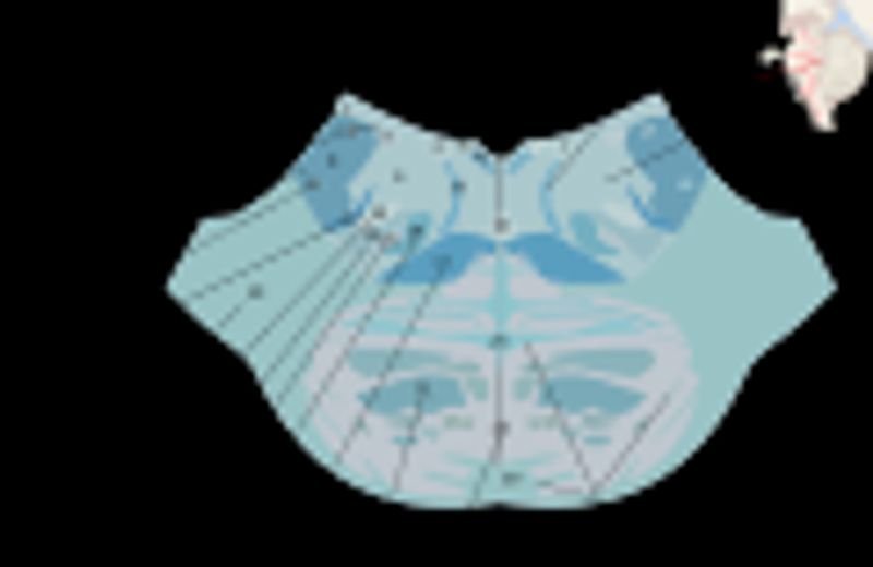 resources of Continence Care Range  Pull Up Pants exporters