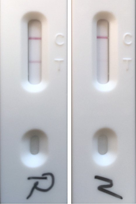 resources of Diagnostic test kit for medical use, Diagnostic kits, Rapid Diagnostic test kit exporters