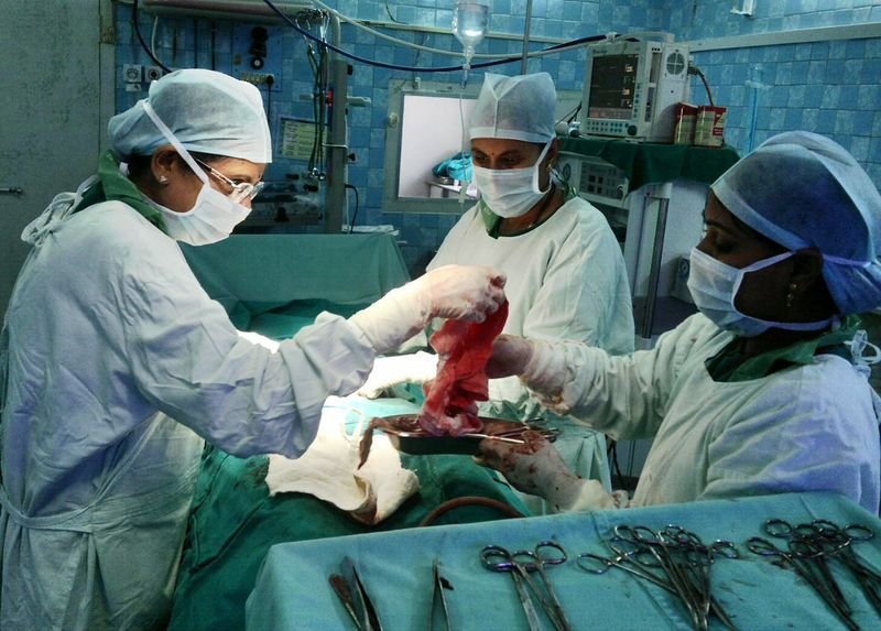 resources of Surgical Face Mask Type Iir  3 Ply exporters