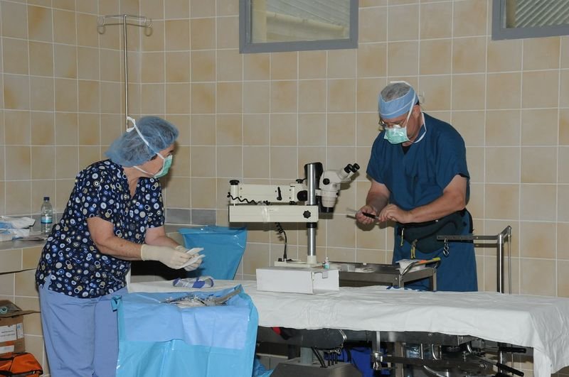 resources of Nitrile Surgical Gloves exporters resources of Nitrile Surgical Gloves exporters