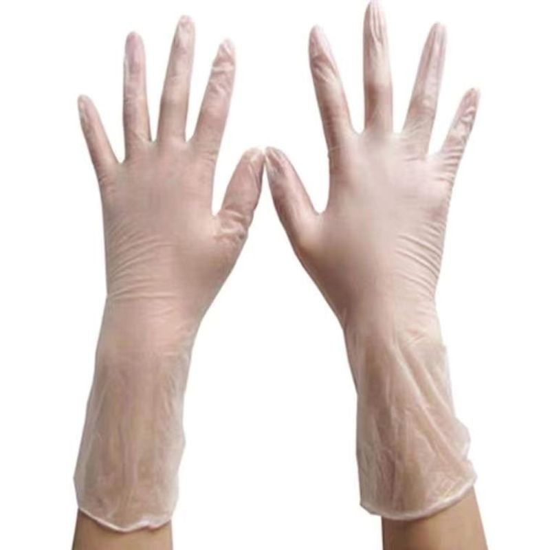 resources of Food Glove Pvc Vinyl Glove Disposable exporters