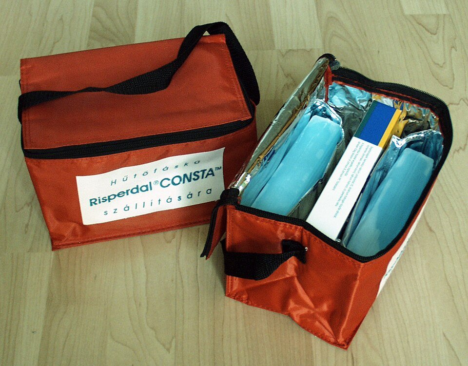 resources of Heavy Duty Ice Storage Plastic Bags Custom Color Printing LDPE Cooler Bags Vietnam Manufacturer Budget Price exporters