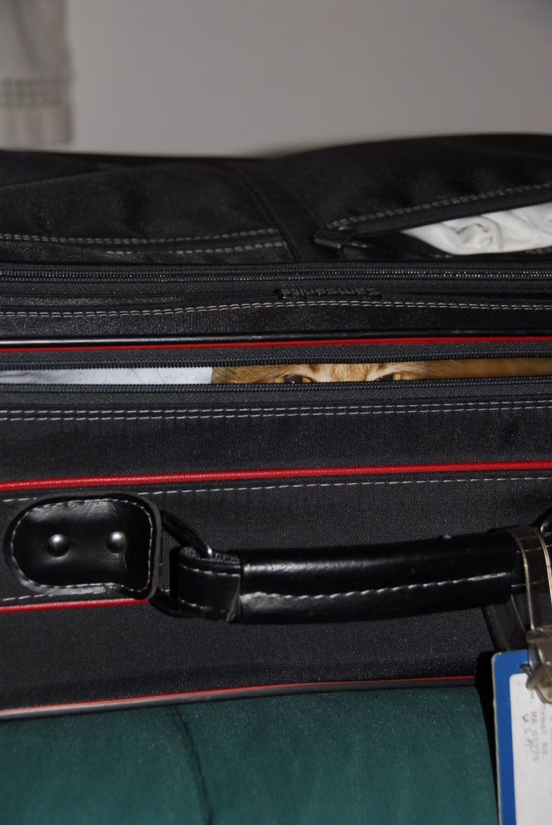 resources of Promotional Bags exporters