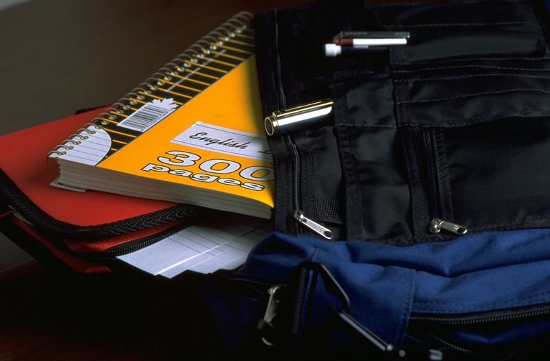 resources of Sttrolr ZIGMASB002 School Bag XXL exporters