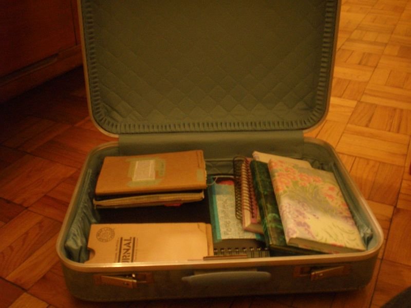 resources of Trolley Bag for Travel exporters