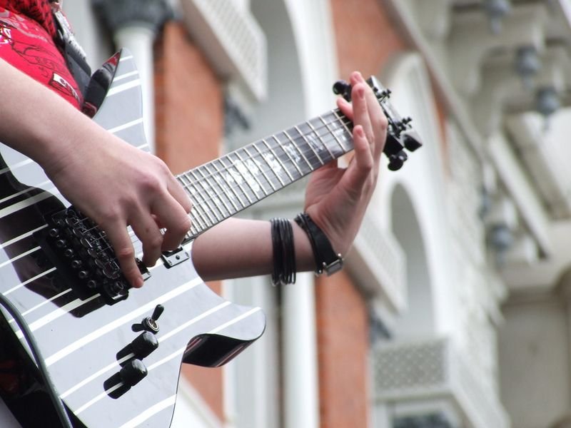 resources of Melody Elite exporters