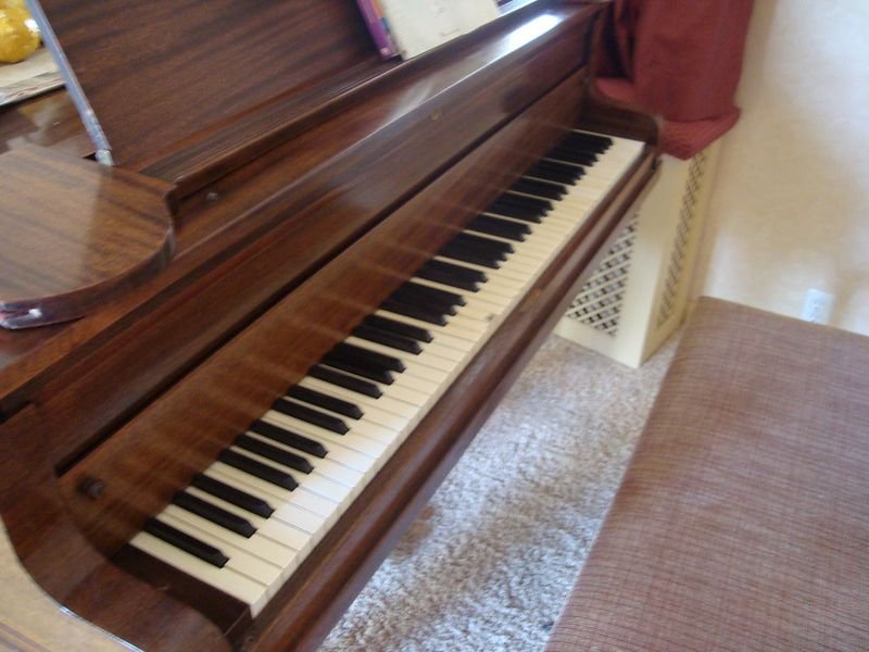 resources of Kids Piano exporters