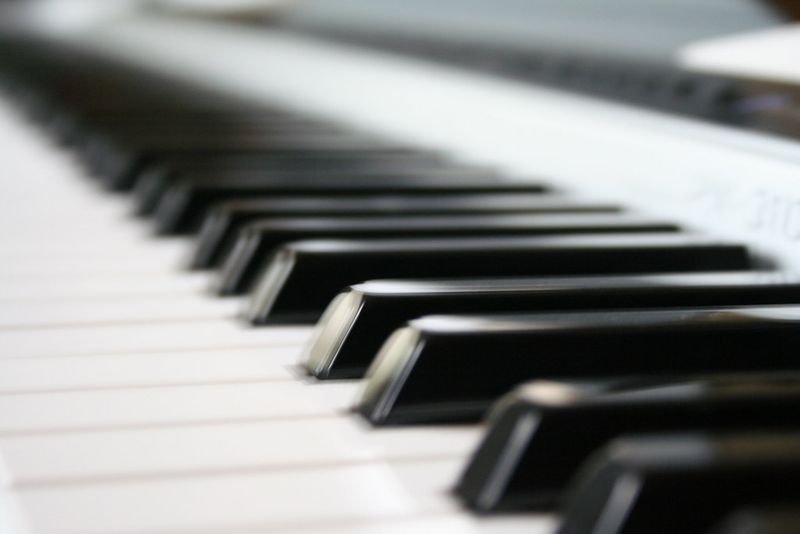 resources of 54-key electronic keyboard exporters resources of 54-key electronic keyboard exporters