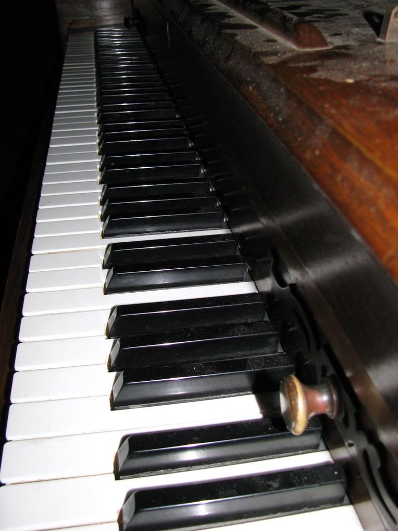 resources of Chanters exporters