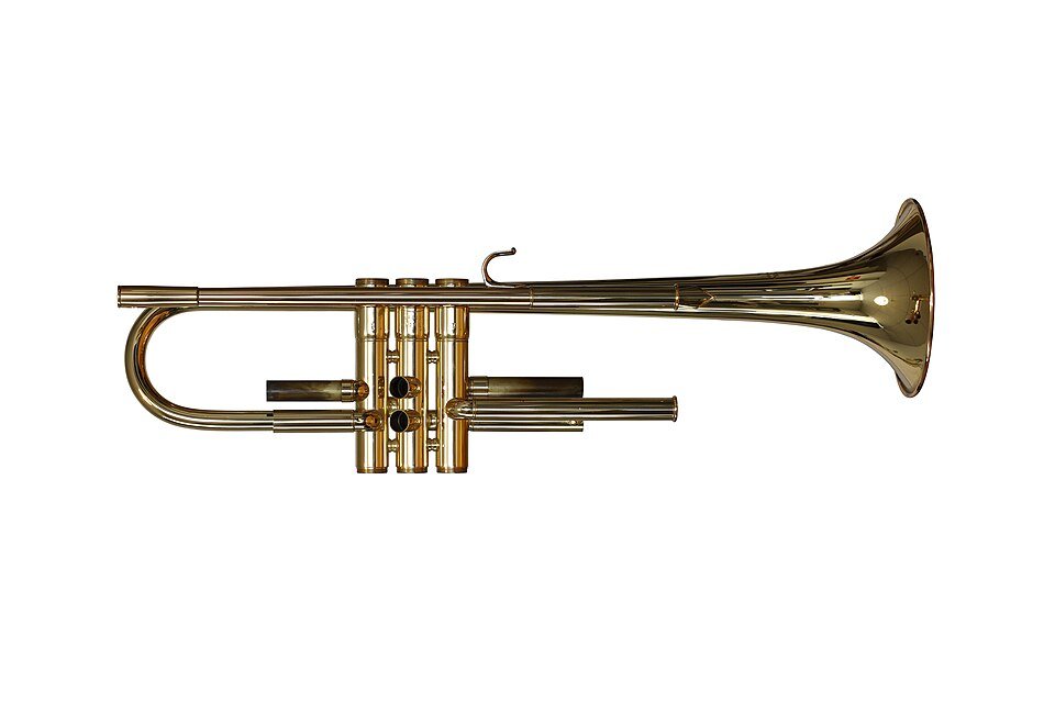 Trumpet Exporters, Wholesaler & Manufacturer | Globaltradeplaza.com