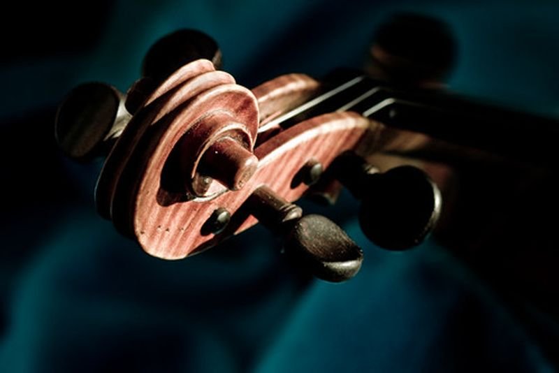 resources of Nice Special Universal Advanced Violin exporters