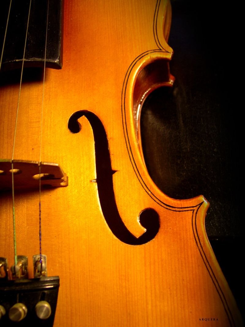 resources of Violin parts exporters