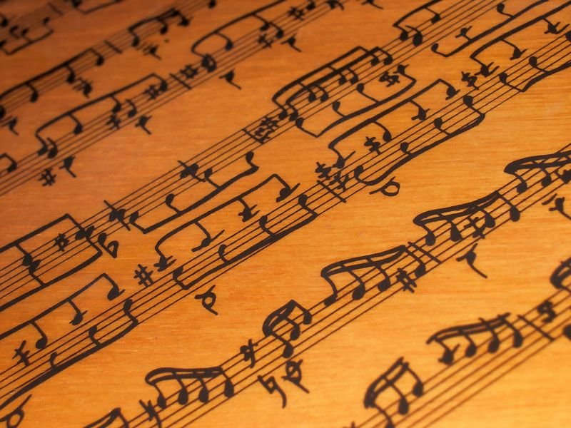 resources of Typea violin exporters