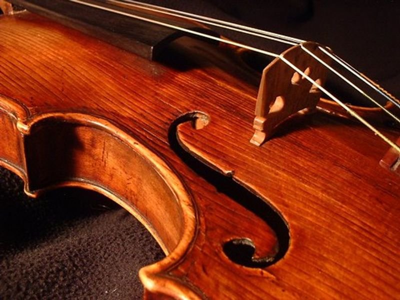 resources of Virgin strings exporters