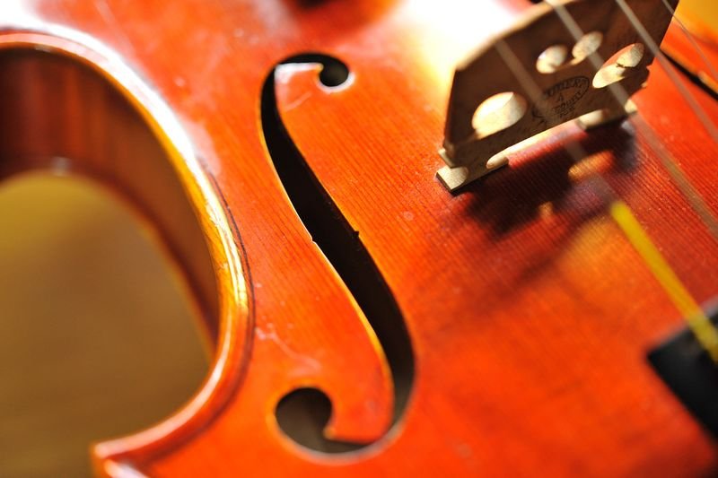 resources of VIOLA CLOTH CLIP exporters