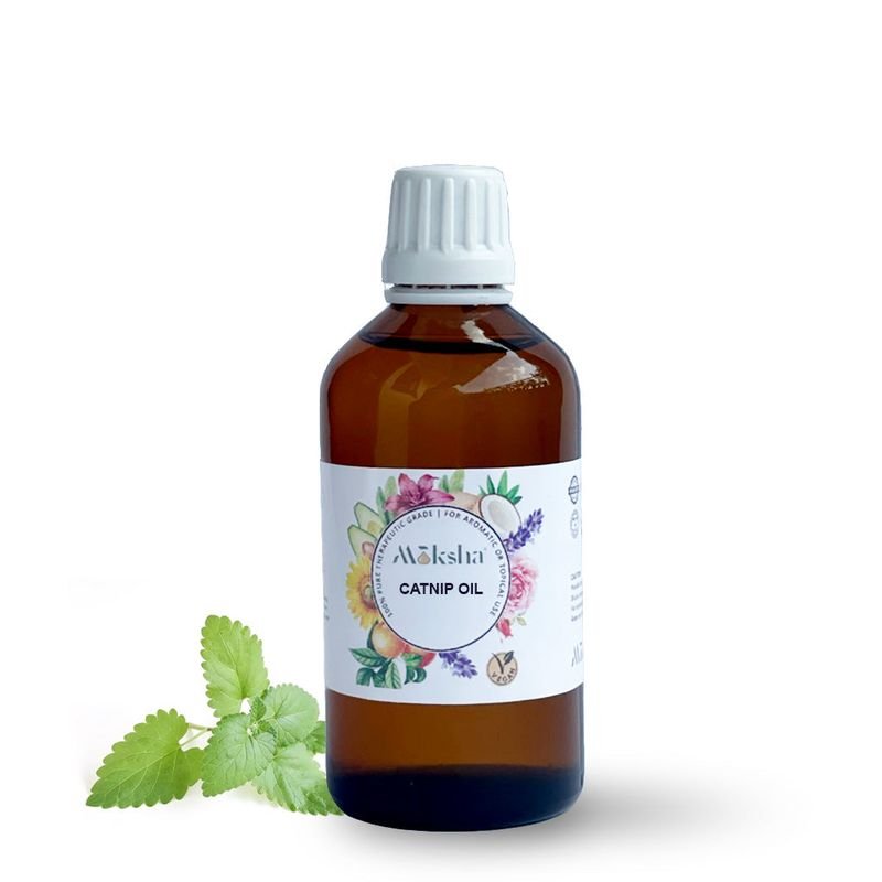 resources of Organic Natural Hair Cleanser exporters