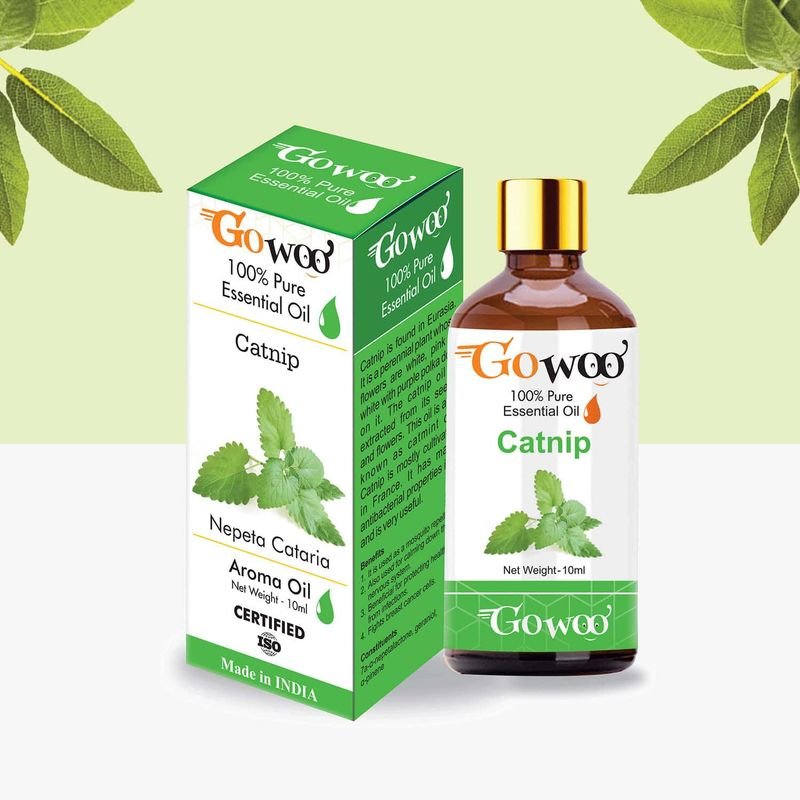 resources of Tea Tree Oil In Hindi exporters