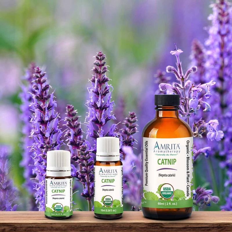 resources of Arachis essential oil exporters